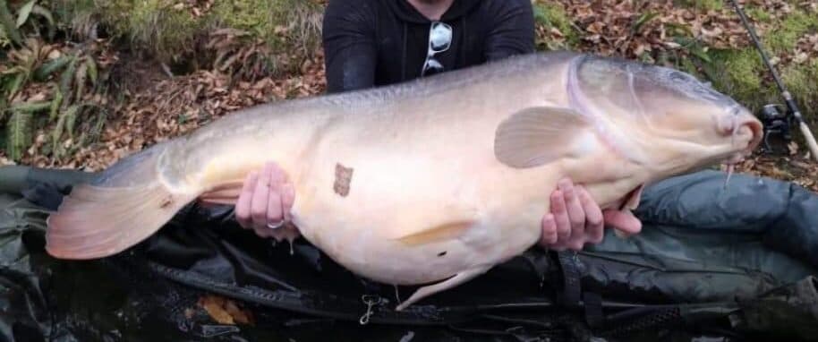 Etang à louer de 3ha dans la Creuse avec sa cabane  de pêcheur 