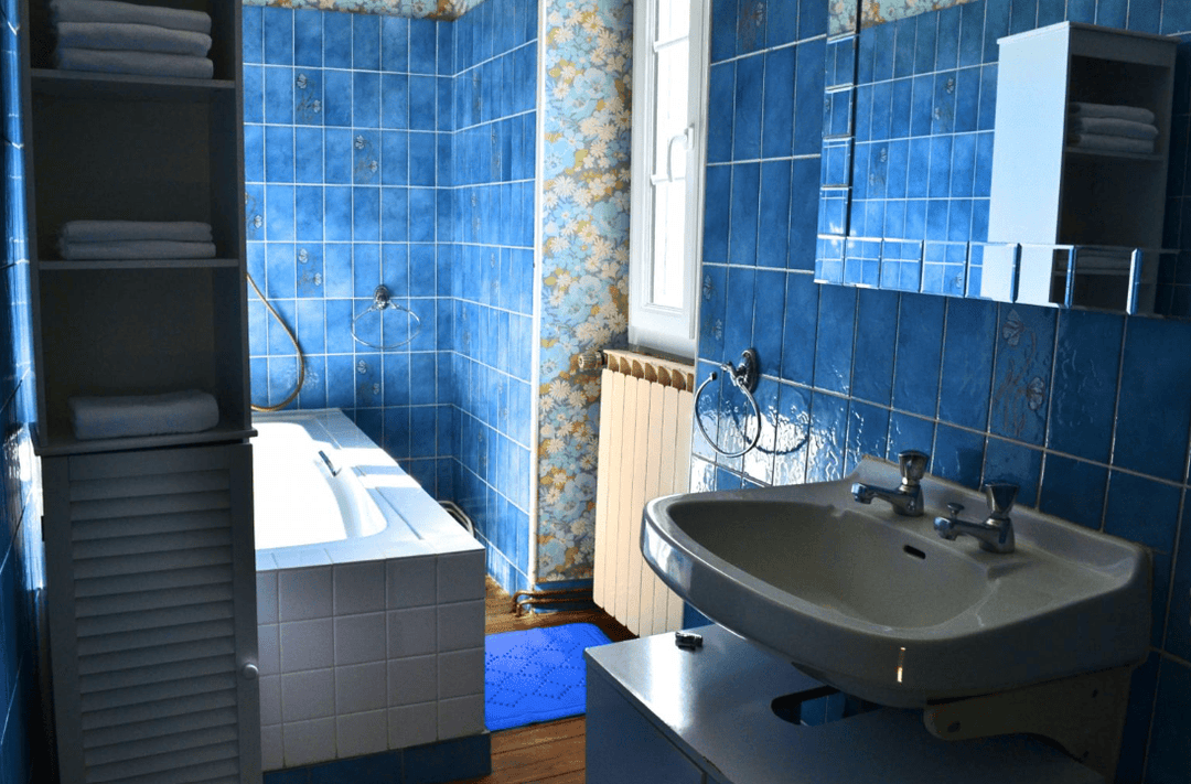 Gîte 12 couchages avec son étang de 3ha 
