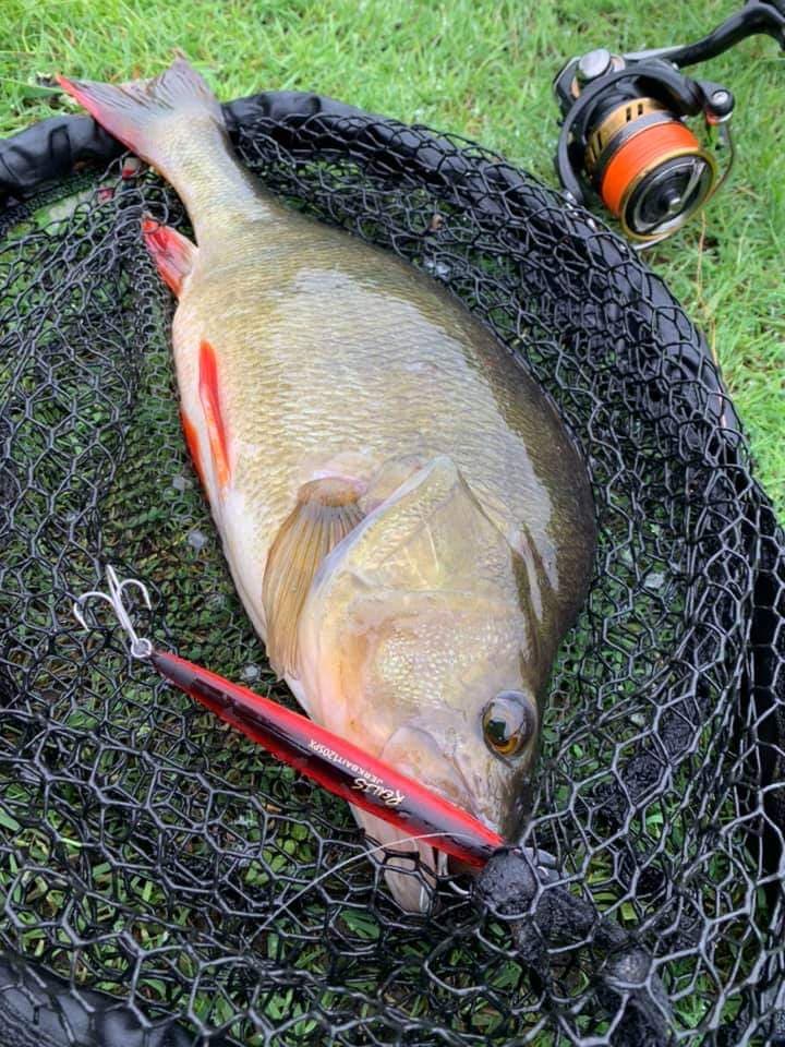 Etang à louer de 3ha dans la Creuse avec sa cabane  de pêcheur 