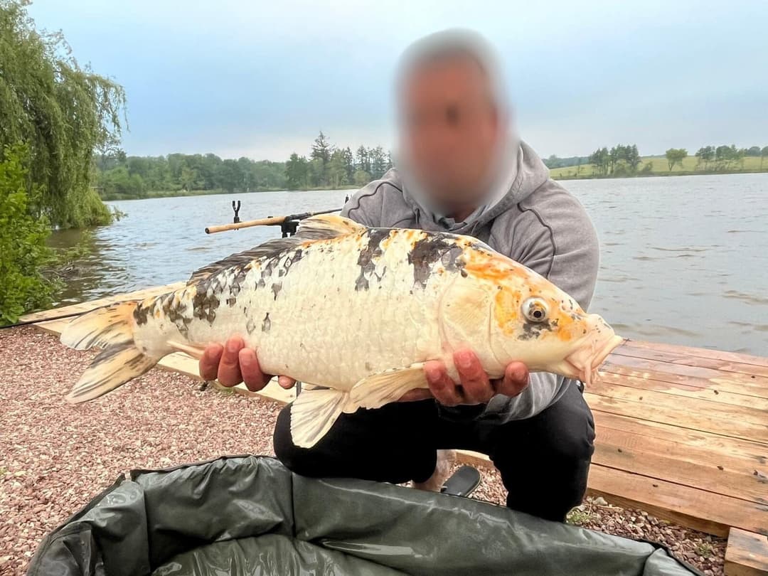 Étang de 12 ha avec lodge tout équipé, paradis pour les amateurs de poissons trophées 