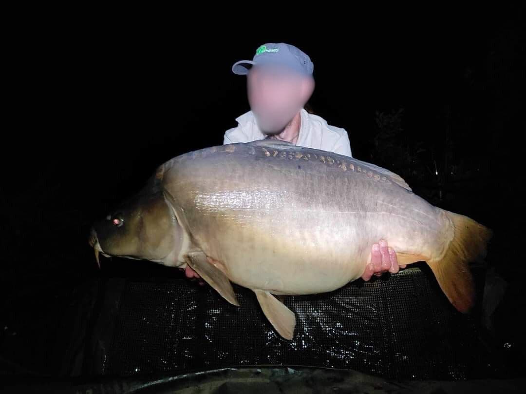Étang de 12 ha avec lodge tout équipé, paradis pour les amateurs de poissons trophées 