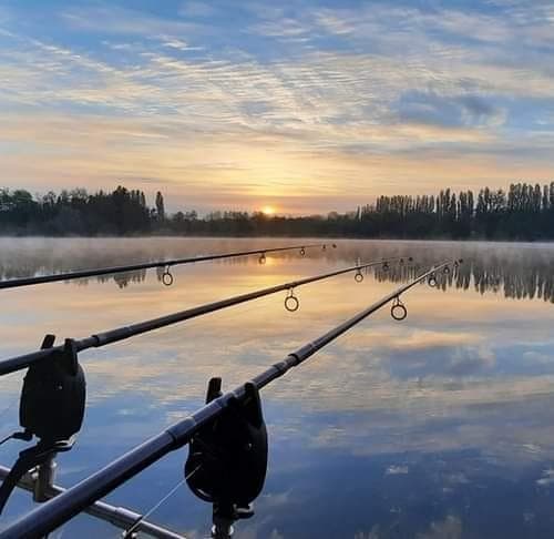 Étang de 12 ha avec lodge tout équipé, paradis pour les amateurs de poissons trophées 