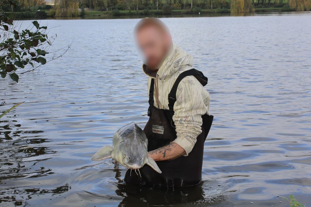 Étang de 12 ha avec lodge tout équipé, paradis pour les amateurs de poissons trophées 