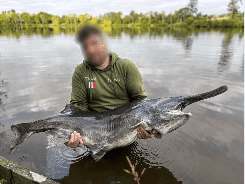 Étang de 12 ha avec lodge tout équipé, paradis pour les amateurs de poissons trophées 
