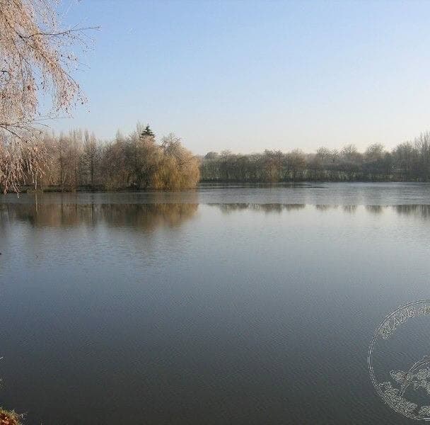 Étang de 12 ha avec lodge tout équipé, paradis pour les amateurs de poissons trophées 