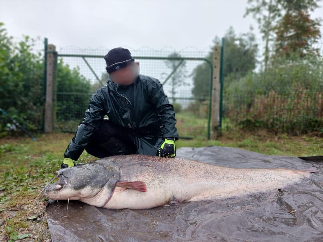 Étang de 12 ha avec lodge tout équipé, paradis pour les amateurs de poissons trophées 