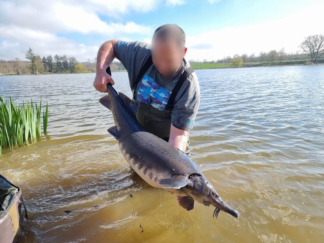 Étang de 12 ha avec lodge tout équipé, paradis pour les amateurs de poissons trophées 