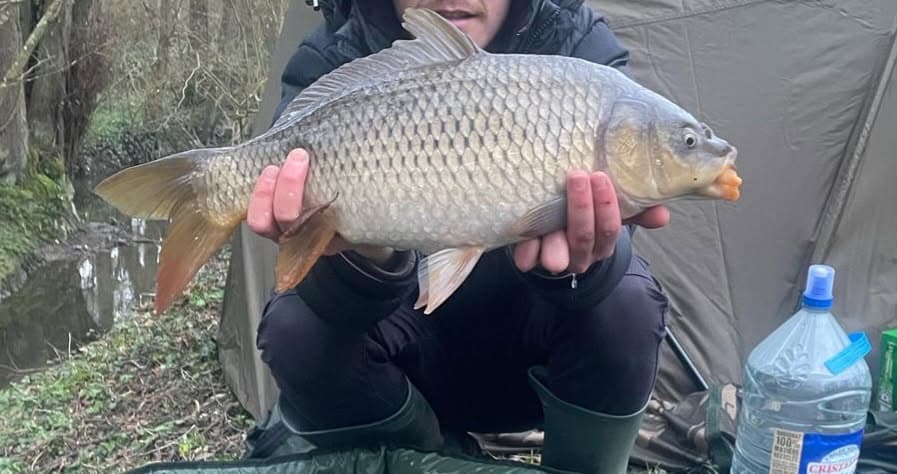 Etang familial pour un weekend dans la nature 