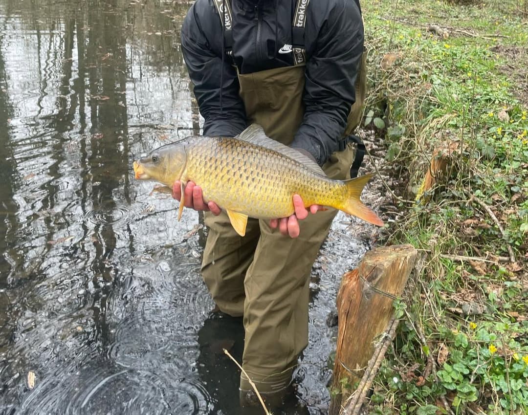 Etang familial pour un weekend dans la nature 