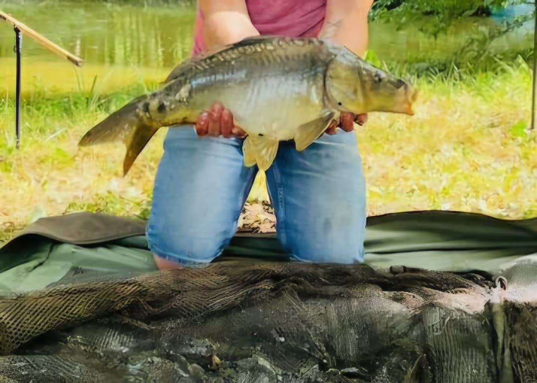 Etang familial pour un weekend dans la nature 