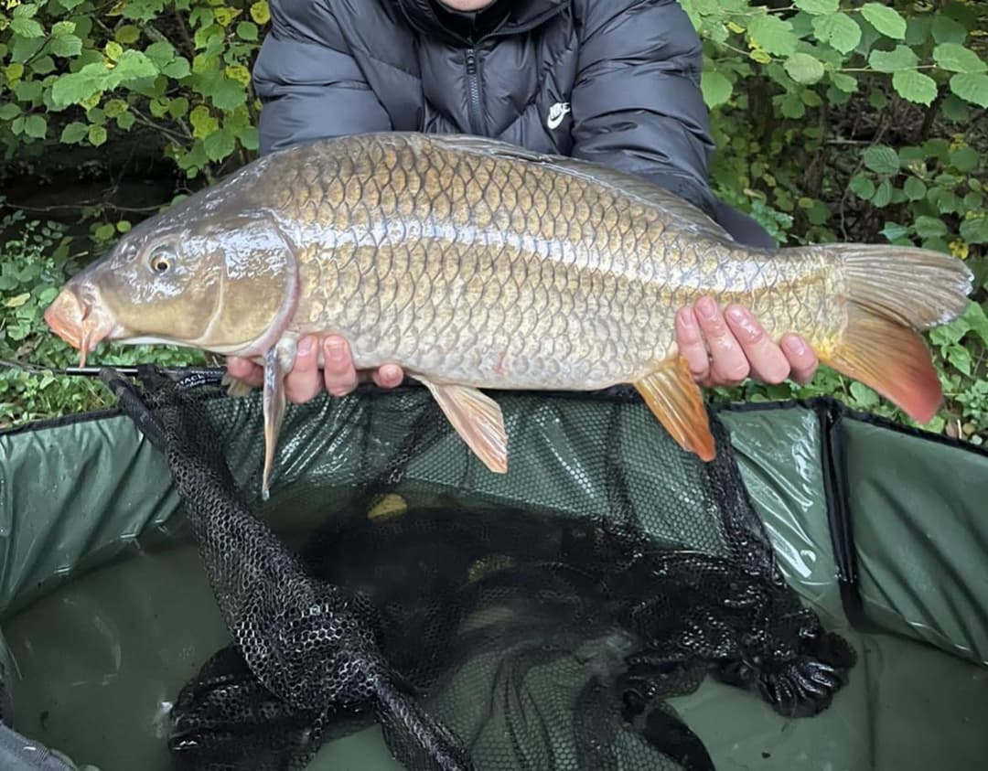 Etang familial pour un weekend dans la nature 