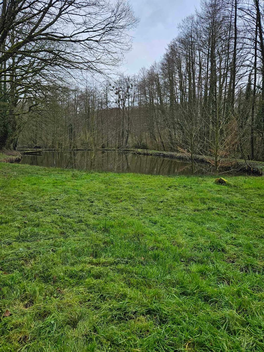 Etang familial pour un weekend dans la nature 