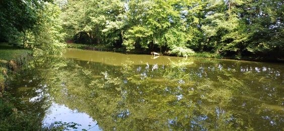 Etang familial pour un weekend dans la nature 