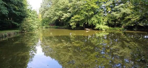 Etang familial pour un weekend dans la nature 