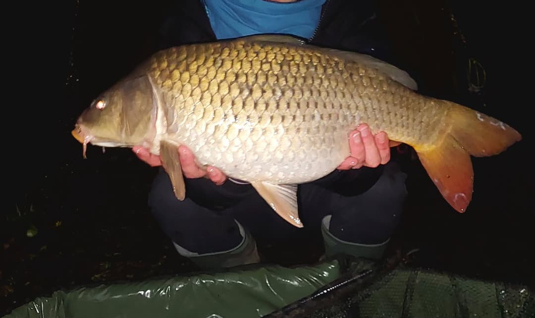 Etang familial pour un weekend dans la nature 
