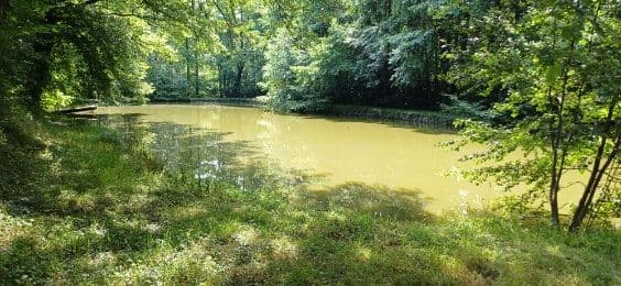 Etang familial pour un weekend dans la nature 