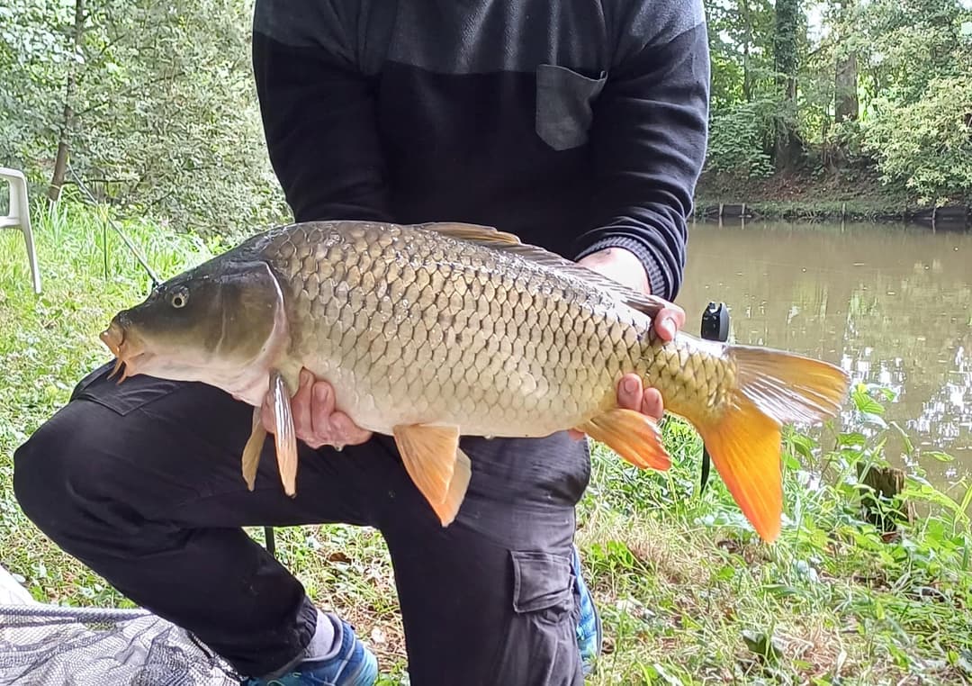 Etang familial pour un weekend dans la nature 