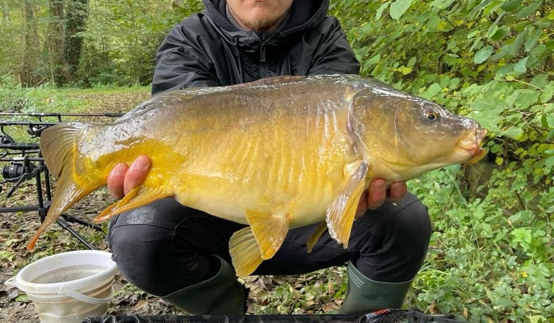 Etang familial pour un weekend dans la nature 