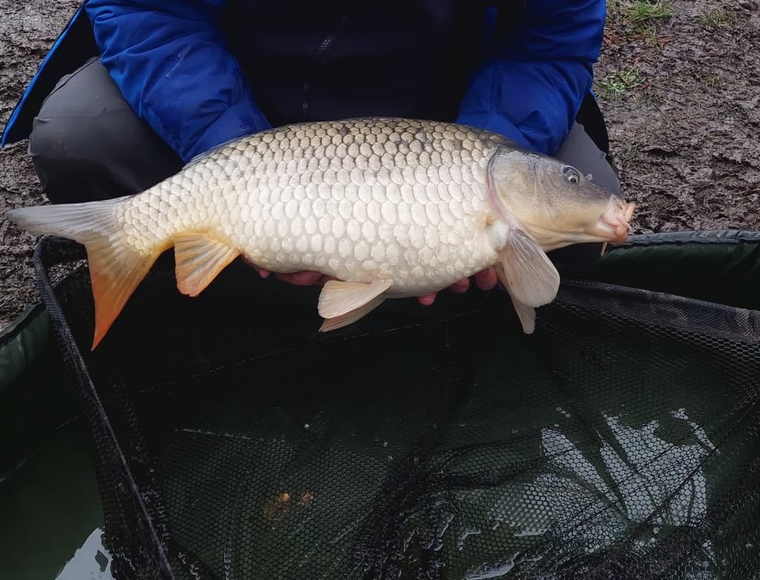 Etang familial pour un weekend dans la nature 