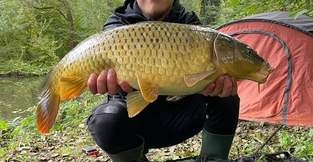 Etang familial pour un weekend dans la nature 