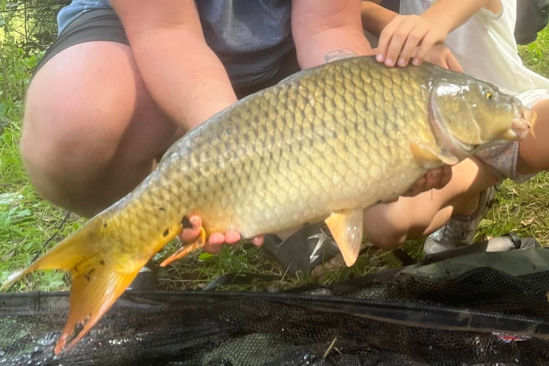 Etang familial pour un weekend dans la nature 
