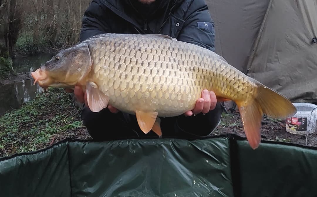 Etang familial pour un weekend dans la nature 