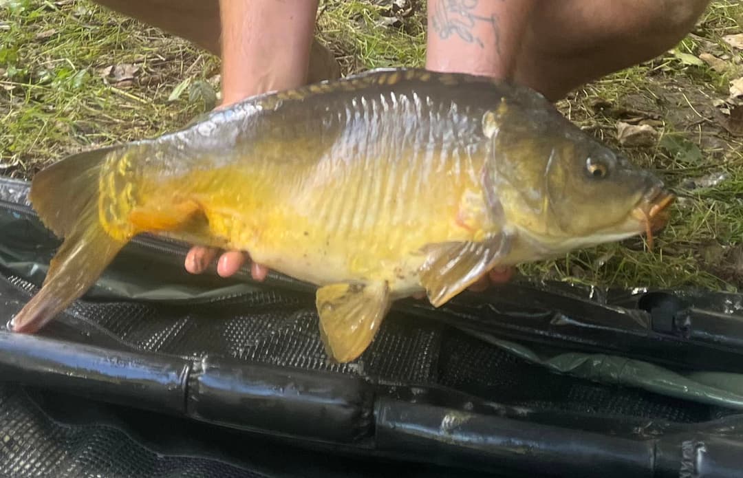 Etang familial pour un weekend dans la nature 