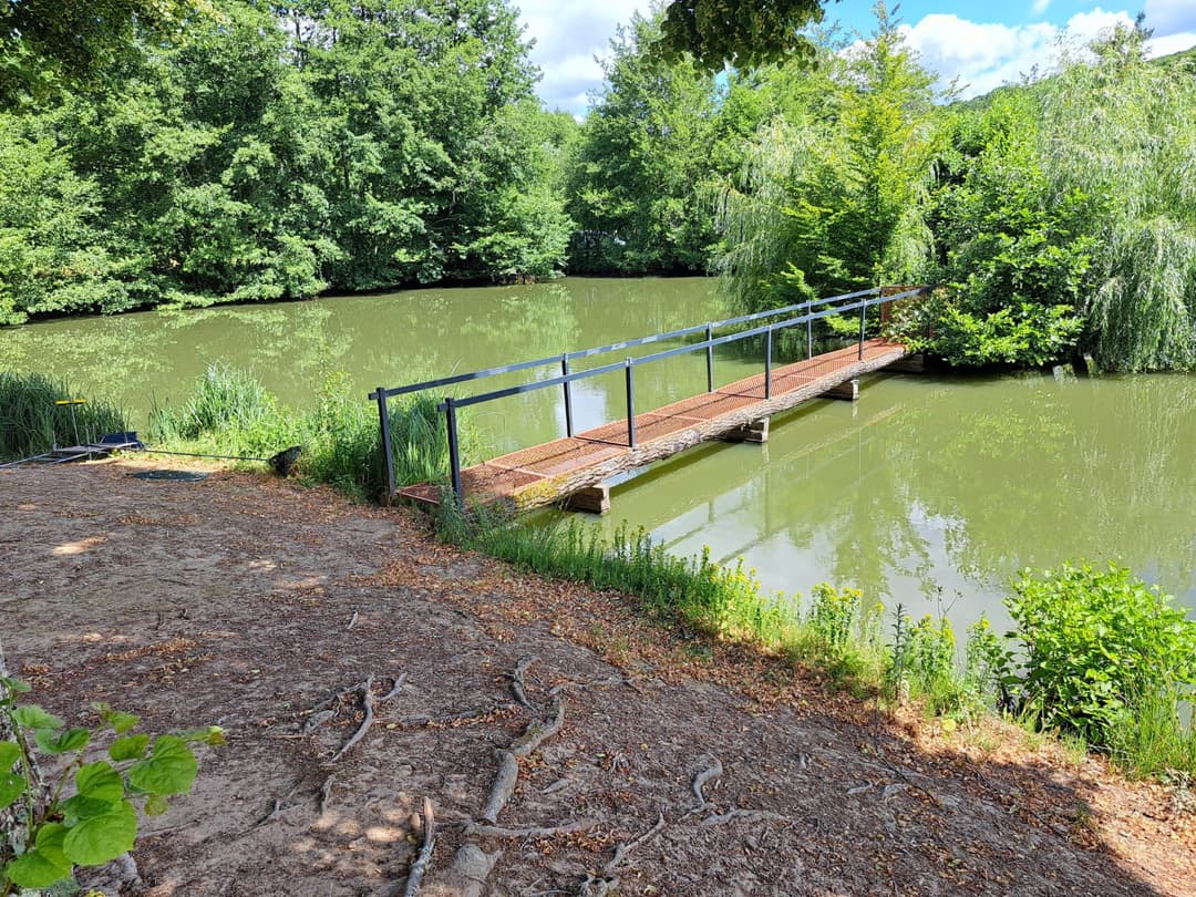 Location étang en Haute-Saône avec maison, eau et électricité et son étang de 1ha