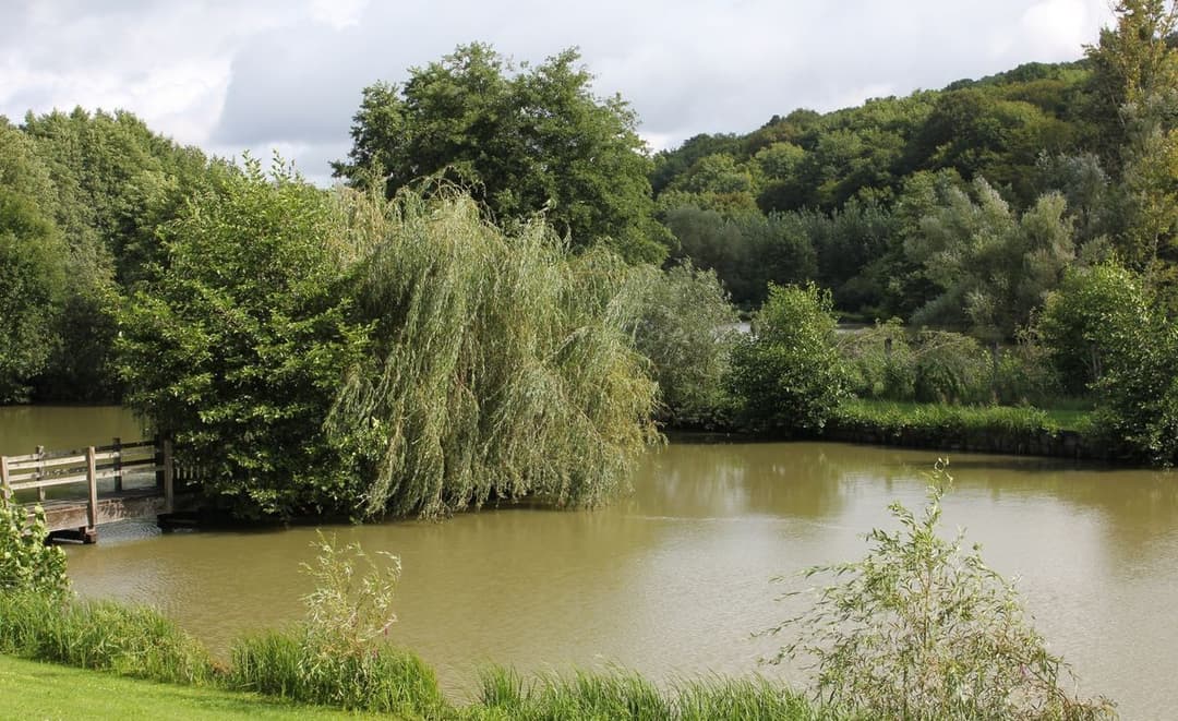 Location étang en Haute-Saône avec maison, eau et électricité et son étang de 1ha