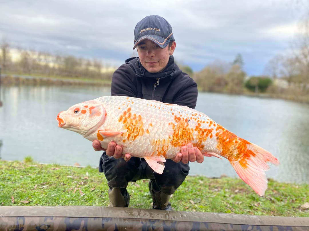 Étang spécialement conçu pour les adeptes de la pêche au coup feeder et anglaise 
