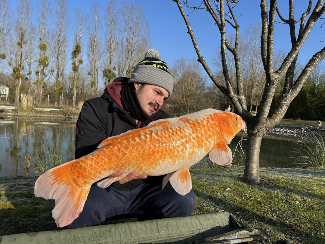 Étang spécialement conçu pour les adeptes de la pêche au coup feeder et anglaise 
