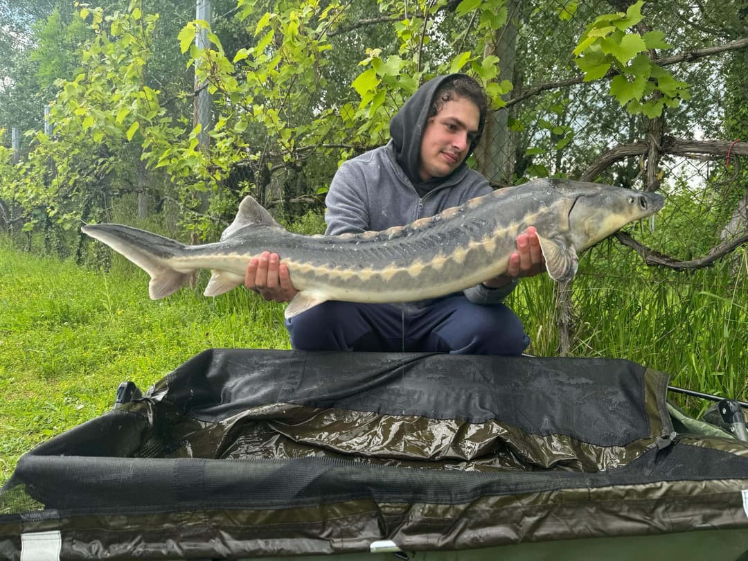 Étang spécialement conçu pour les adeptes de la pêche au coup feeder et anglaise 