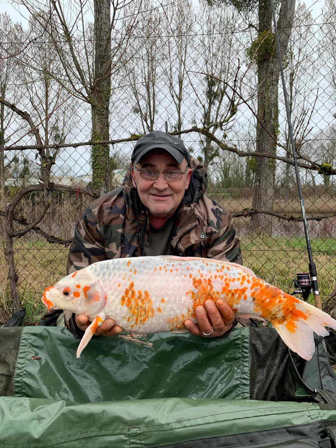 Étang spécialement conçu pour les adeptes de la pêche au coup feeder et anglaise 