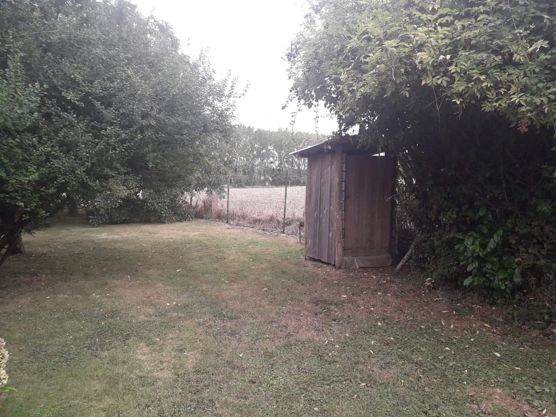 Havre de paix : Un étang enchanteur au cœur de la nature pour un ressourcement total 