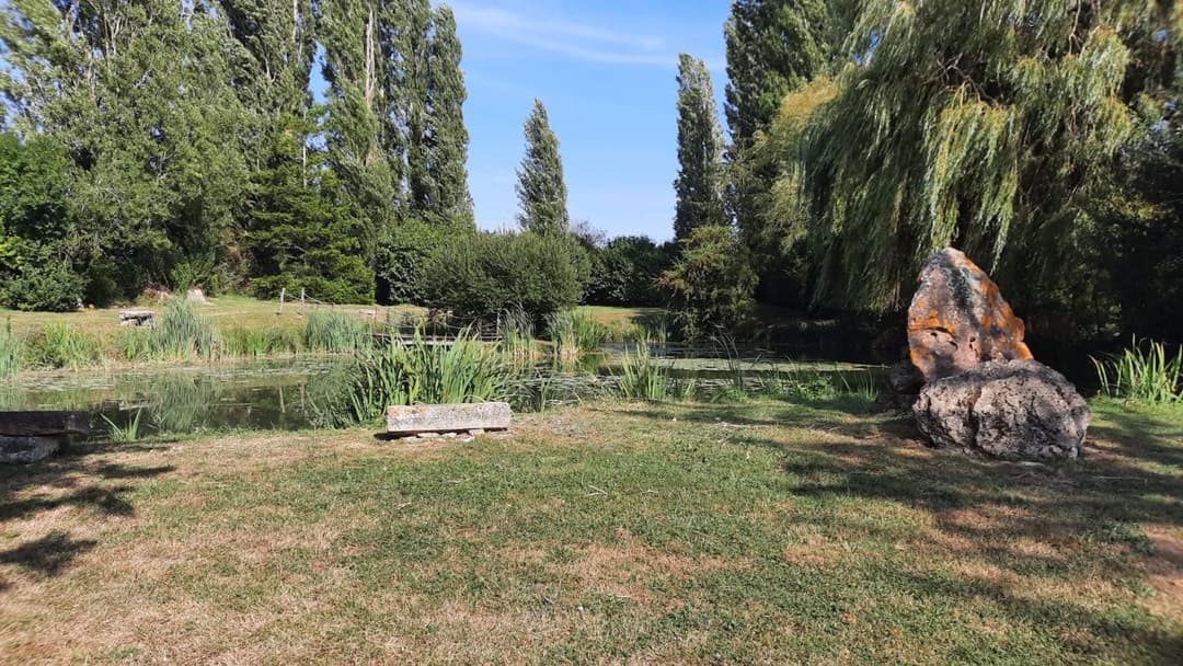 Havre de paix : Un étang enchanteur au cœur de la nature pour un ressourcement total 