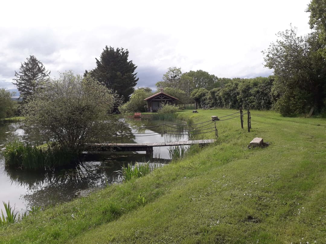 Havre de paix : Un étang enchanteur au cœur de la nature pour un ressourcement total 