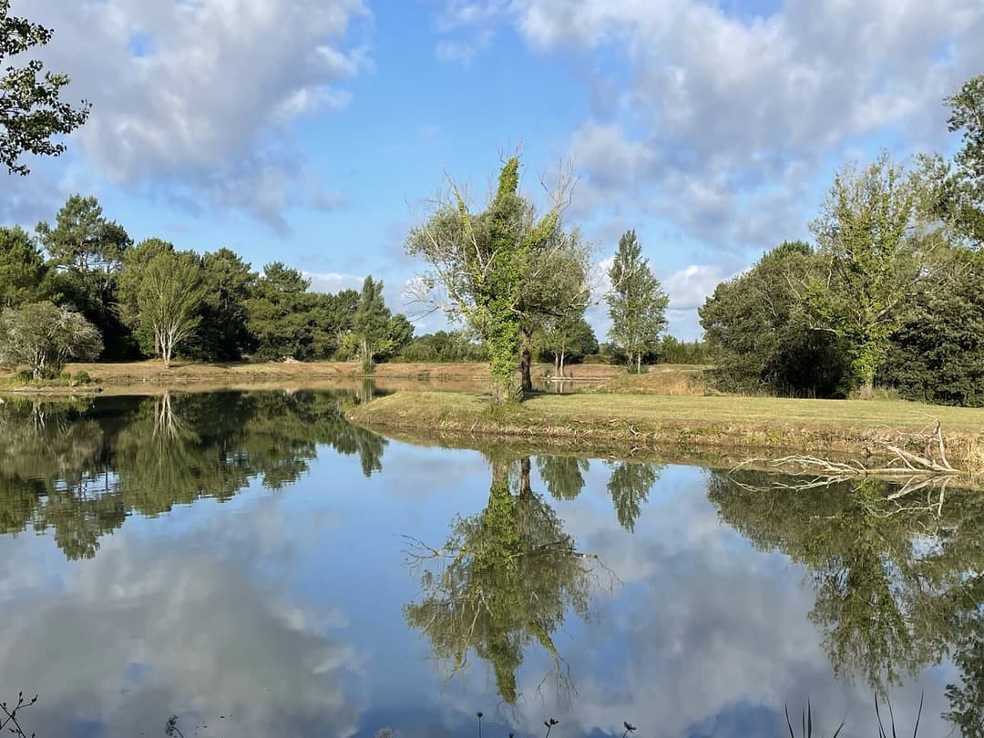 Parenthèse nature au cœur du Médoc