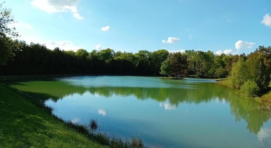Pêche et nature : votre Tiny House écologique au bord de l'eau