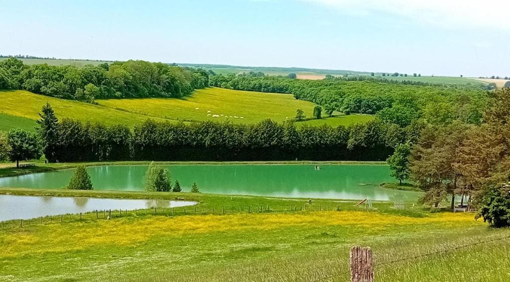 Pêche et nature : votre Tiny House écologique au bord de l'eau