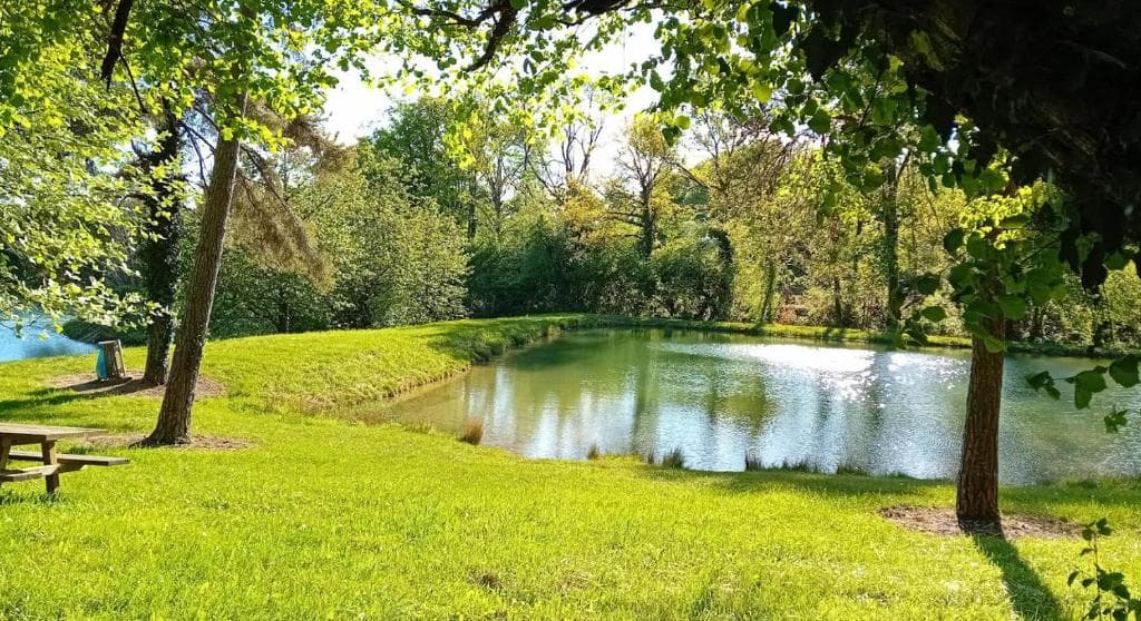 Pêche et nature : votre Tiny House écologique au bord de l'eau