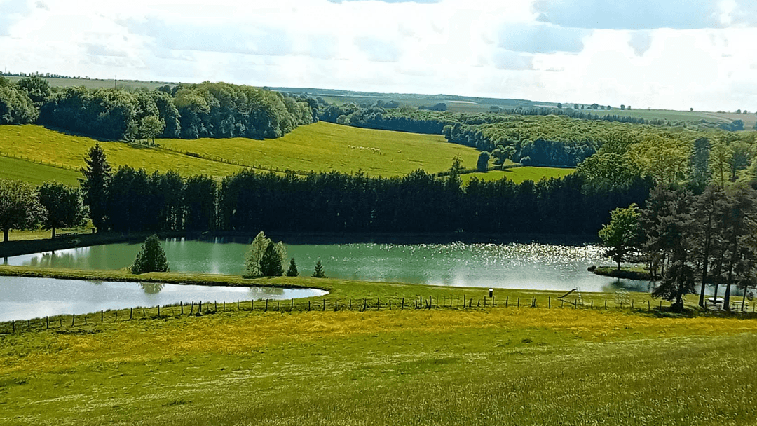 Pêche et nature : votre Tiny House écologique au bord de l'eau