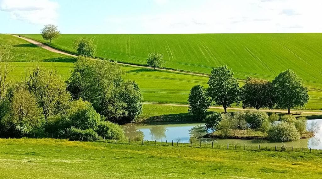 Pêche et nature : votre Tiny House écologique au bord de l'eau