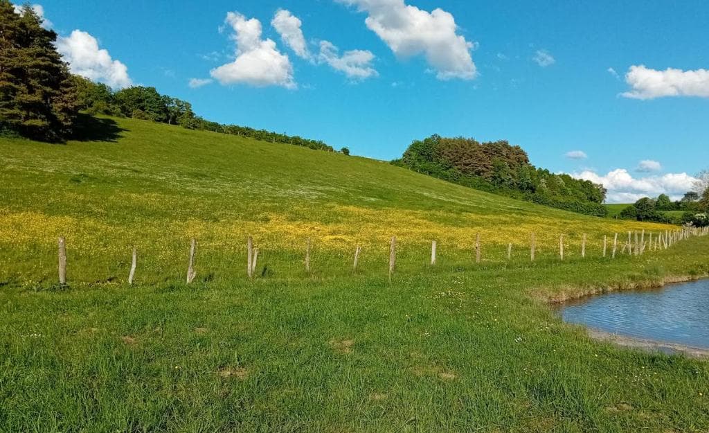 Pêche et nature : votre Tiny House écologique au bord de l'eau