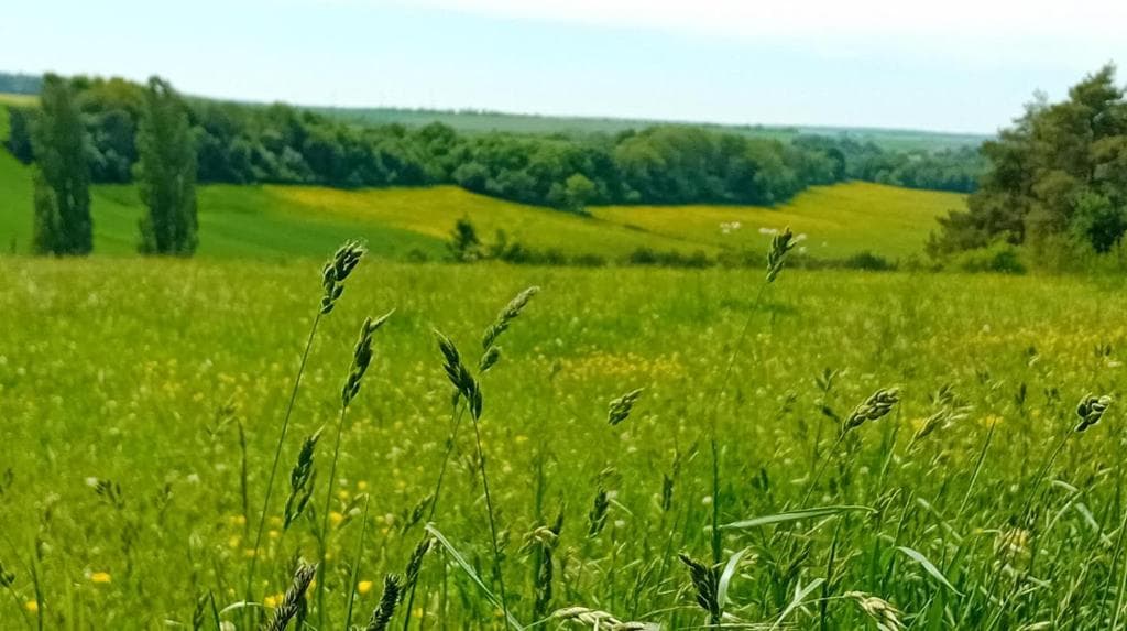 Pêche et nature : votre Tiny House écologique au bord de l'eau