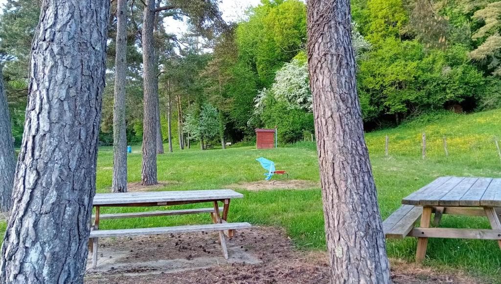 Pêche et nature : votre Tiny House écologique au bord de l'eau