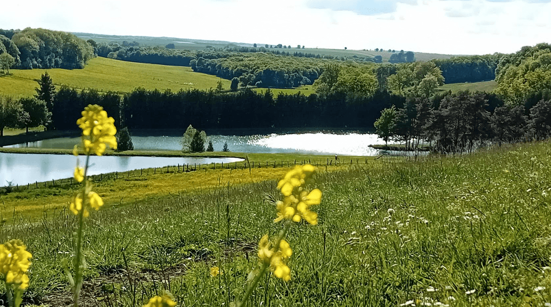 Pêche et nature : votre Tiny House écologique au bord de l'eau