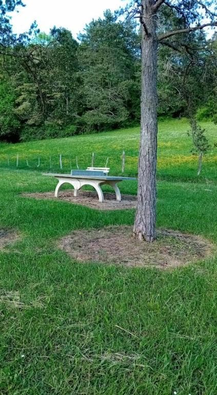 Pêche et nature : votre Tiny House écologique au bord de l'eau