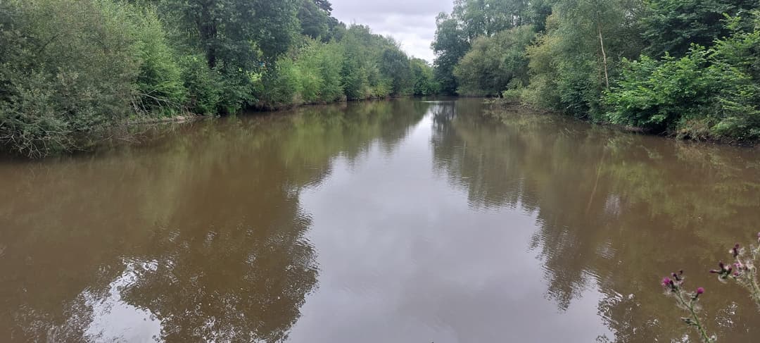 Etang avec cabanon