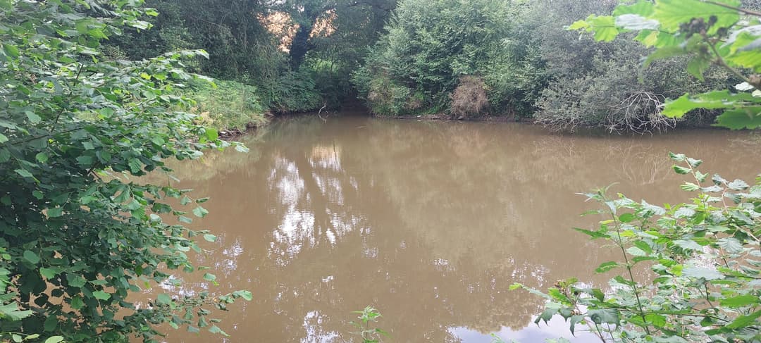 Etang avec cabanon