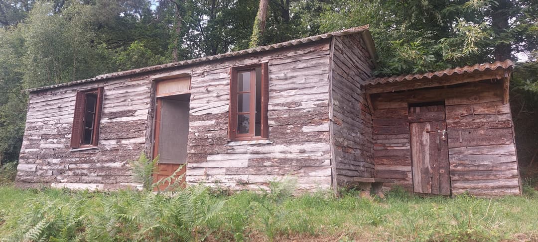 Etang avec cabanon